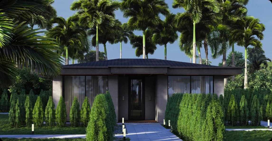 Palm Paradise